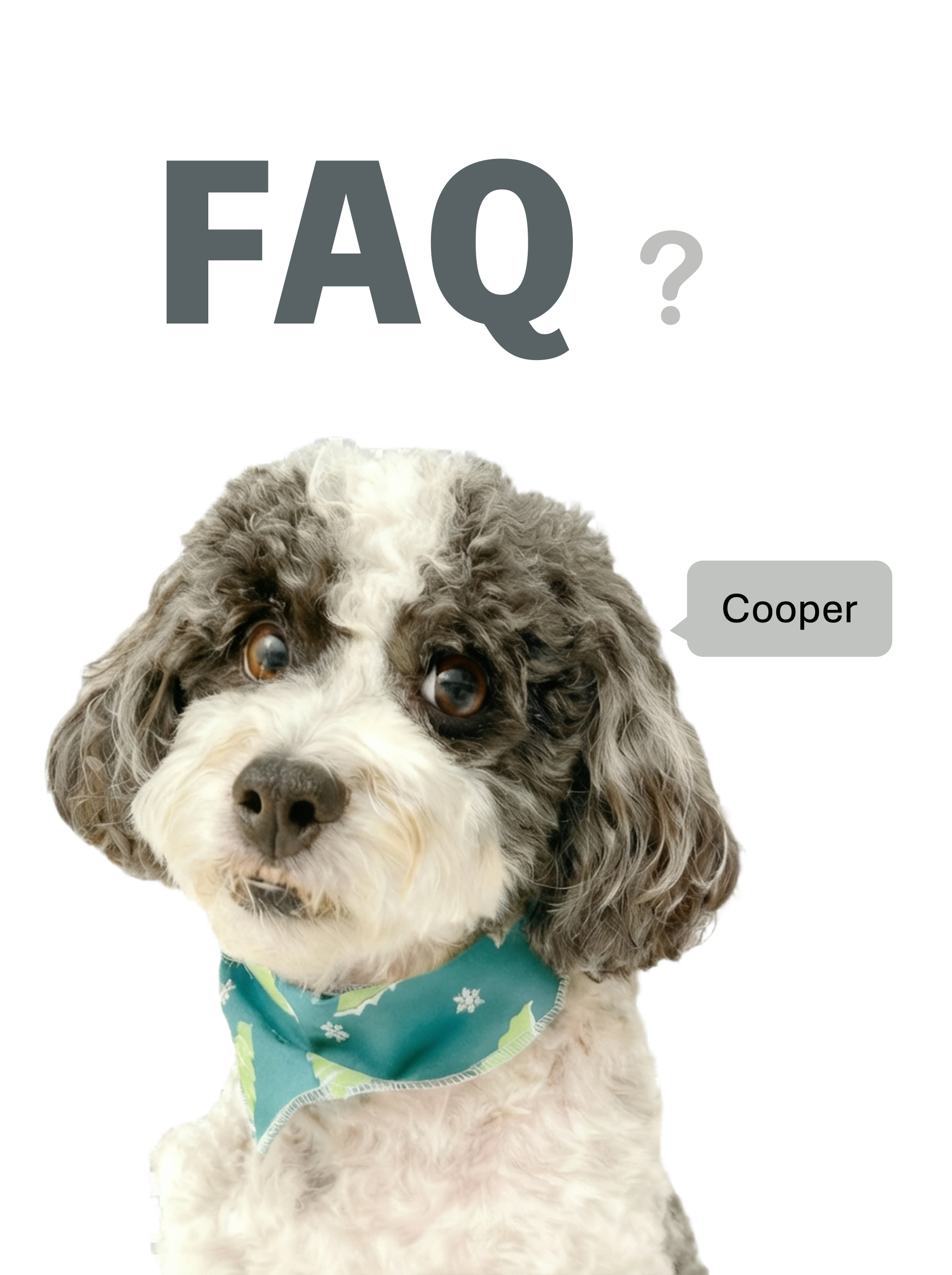 faq_cooper.png